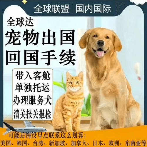 洛阳宠物托运到柬埔寨宠物入境规定和要求