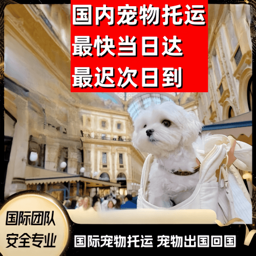 洛阳到澳大利亚（澳洲）宠物入境规定和要求