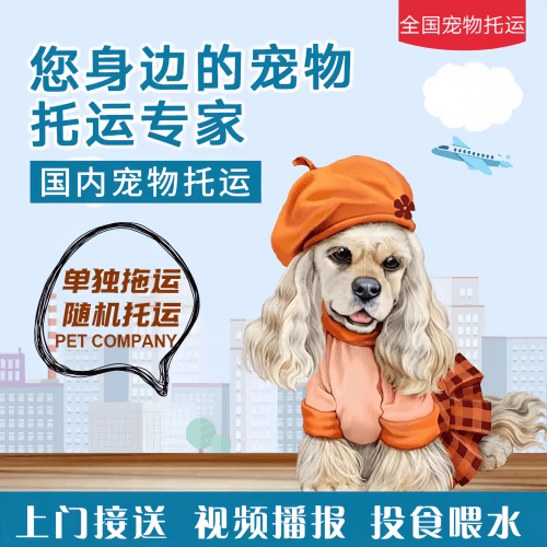 满财洛阳宠物全球达宠物托运作为专业的宠物运输代理机构